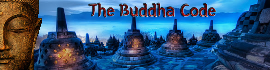 The Buddha Code